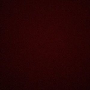 Meet your Posher, Mackenzie